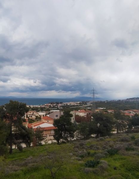 Gelini (Lagkadeika)