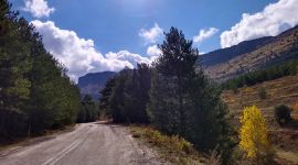 Sarantapicho