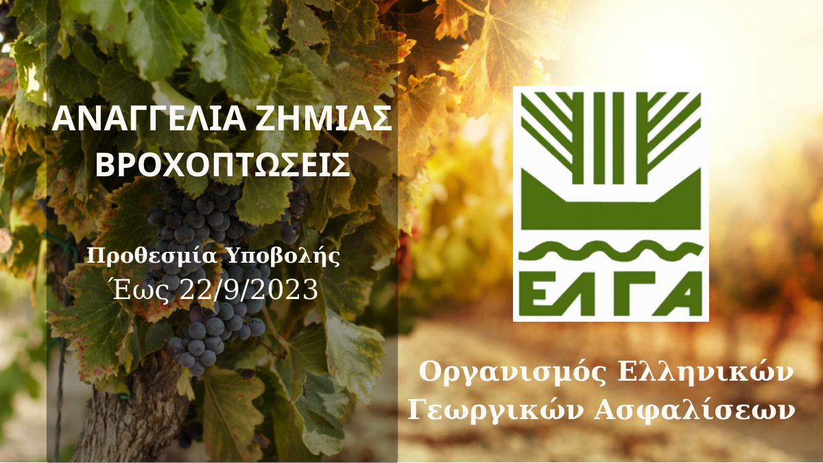ΕΛΓΑ: Ενάρξη Υποβολής Δηλώσεων Ζημιάς για τις Βροχοπτώσεις