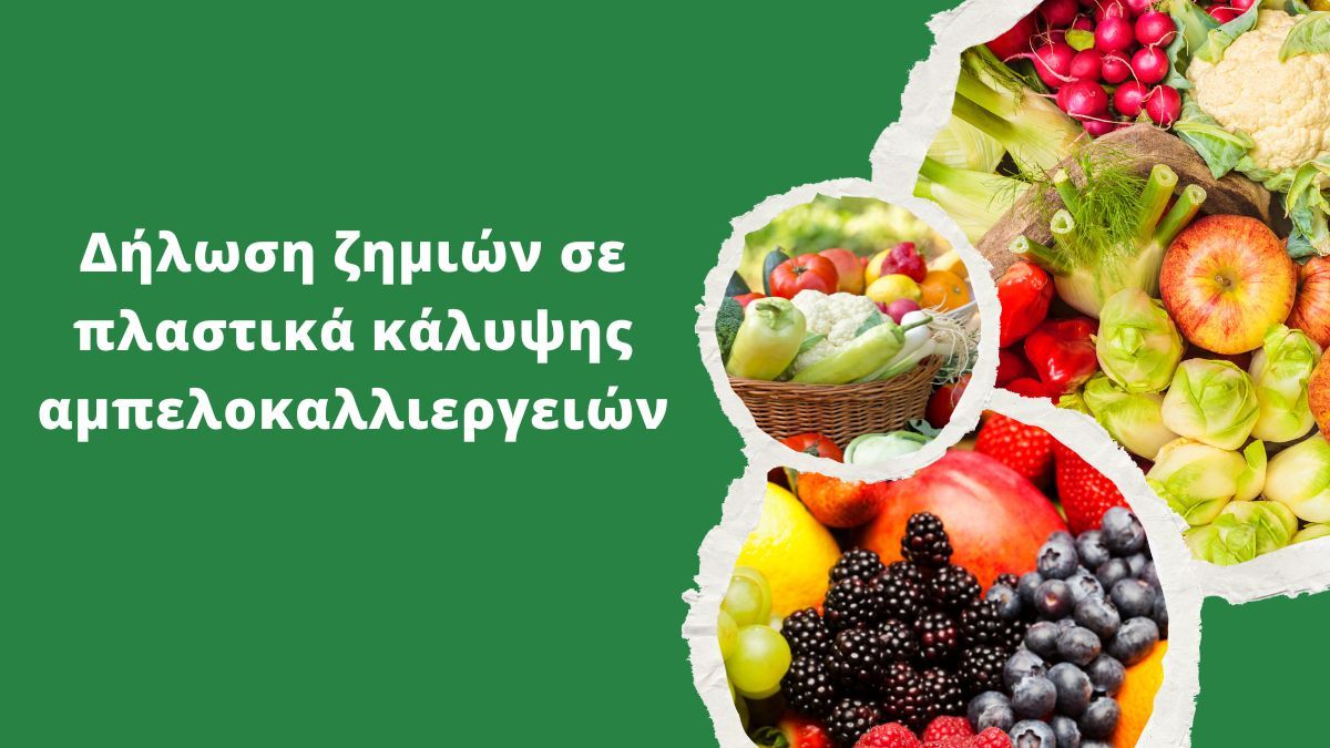 Νέα ενημέρωση ΕΛΓΑ για ζημιές σε υλικά κάλυψης αμπελοκαλλιεργειών