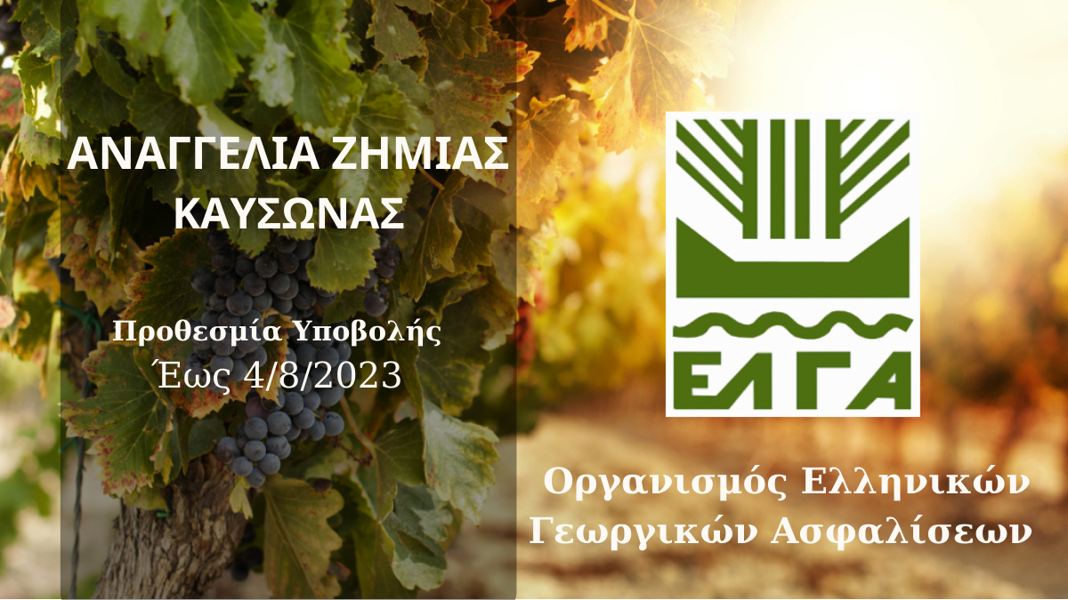 ΕΛΓΑ: Ενάρξη Υποβολής Δηλώσεων Ζημιάς για τον καύσωνα της Κυριακής, 23/7/2023