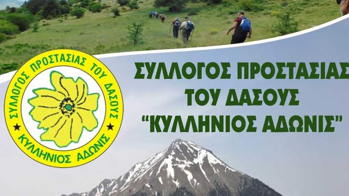 Κοπή Πίτας  Συλλόγου Προστασίας του Δάσους "Κυλλήνιος Άδωνις"