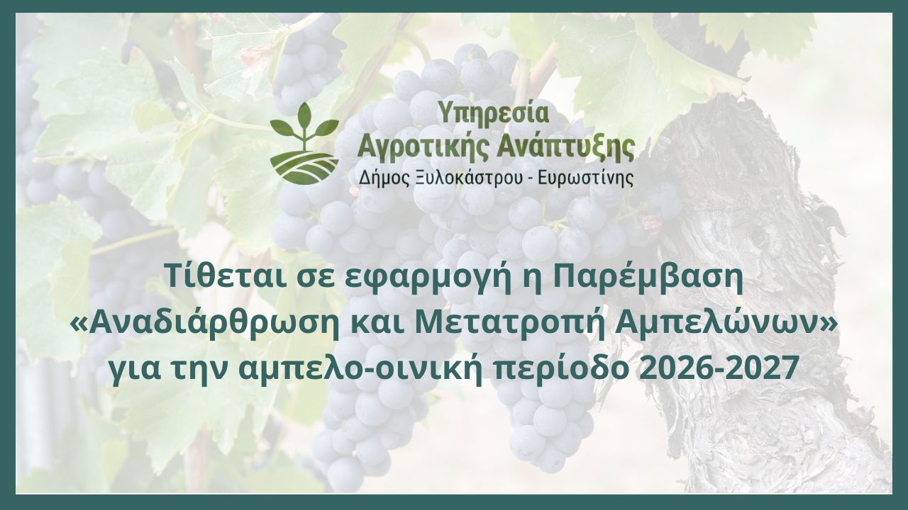 Τίθεται σε εφαρμογή η Παρέμβαση «Αναδιάρθρωση και Μετατροπή Αμπελώνων» για την αμπελο-οινική περίοδο 2026-2027