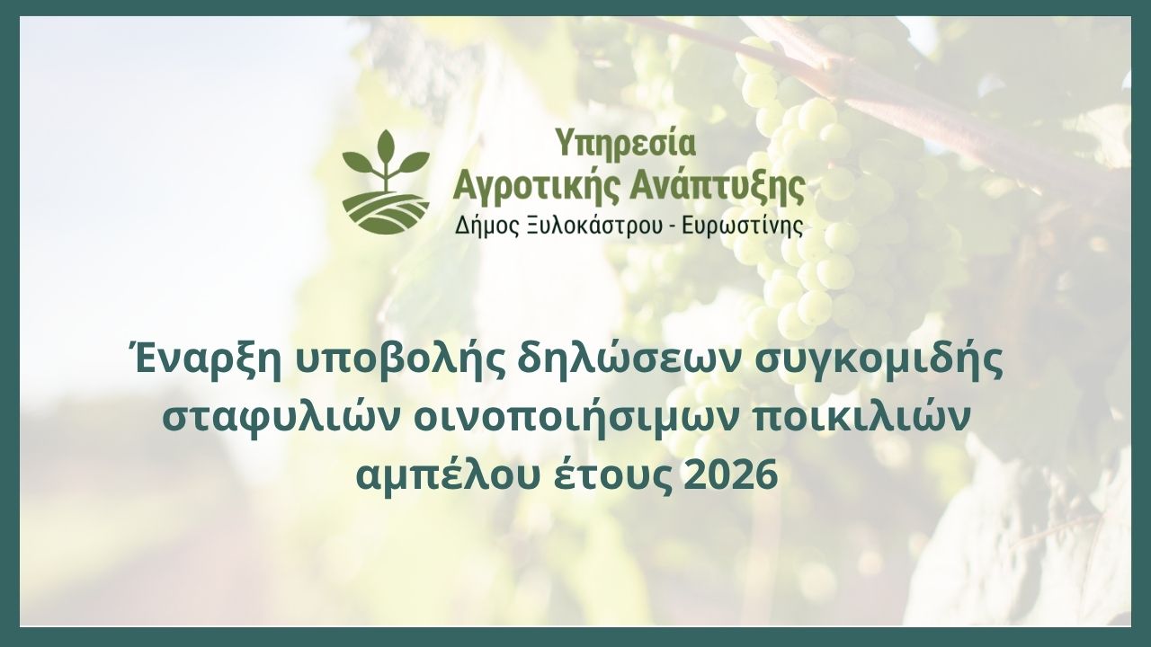 Έναρξη υποβολής δηλώσεων συγκομιδής σταφυλιών οινοποιήσιμων ποικιλιών αμπέλου έτους 2026