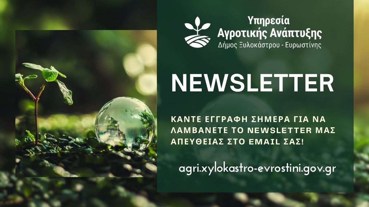Newsletter Υπηρεσίας Αγροτικής Ανάπτυξης | Αύγουστος 2026