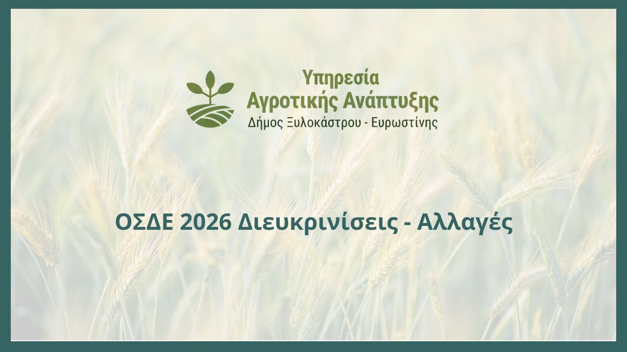 ΟΣΔΕ 2026 Διευκρινίσεις - Αλλαγές