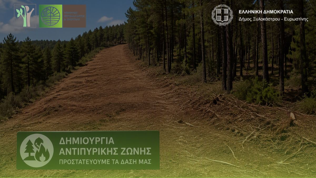 Θωρακίζουμε τον Δήμο μας απέναντι στις δασικές πυρκαγιές!