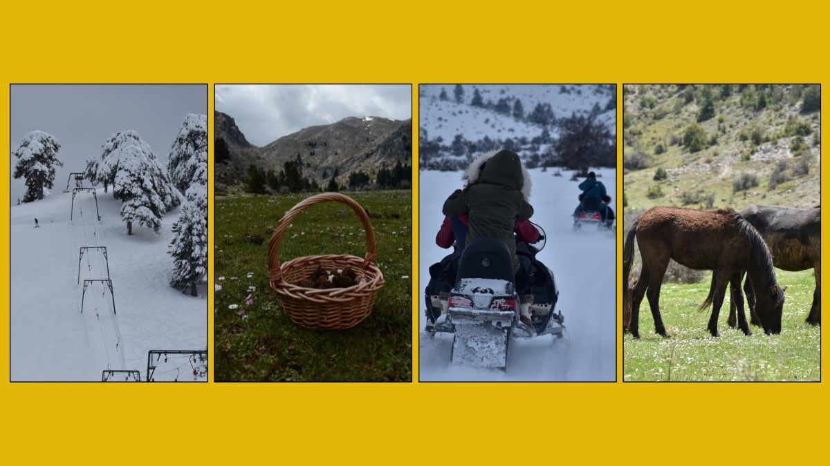 10 things you didn't know about Trikala