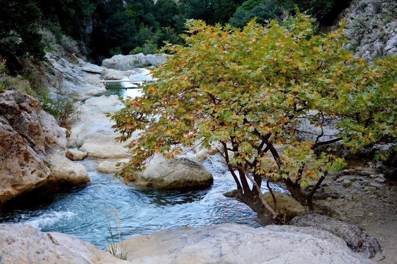 Φαράγγι Αγίου Λουκά - Ευρωστίνη - Ξυλόκαστρο - canyoning - Δερβένι