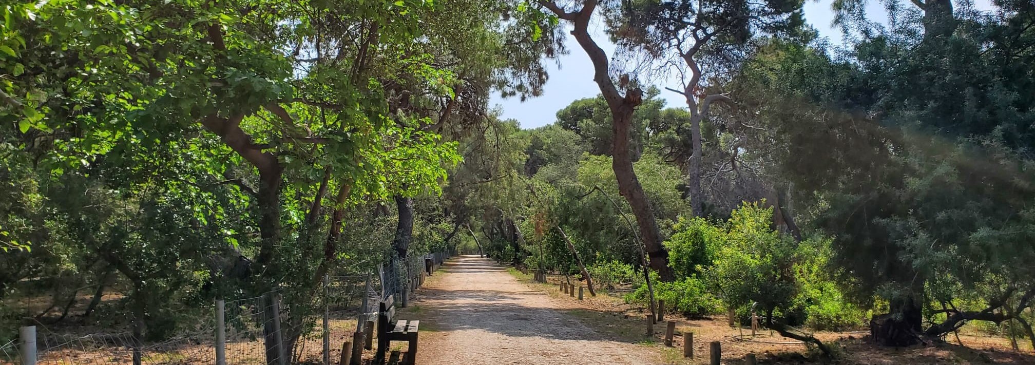 Πευκιάς Ξυλοκάστρου 