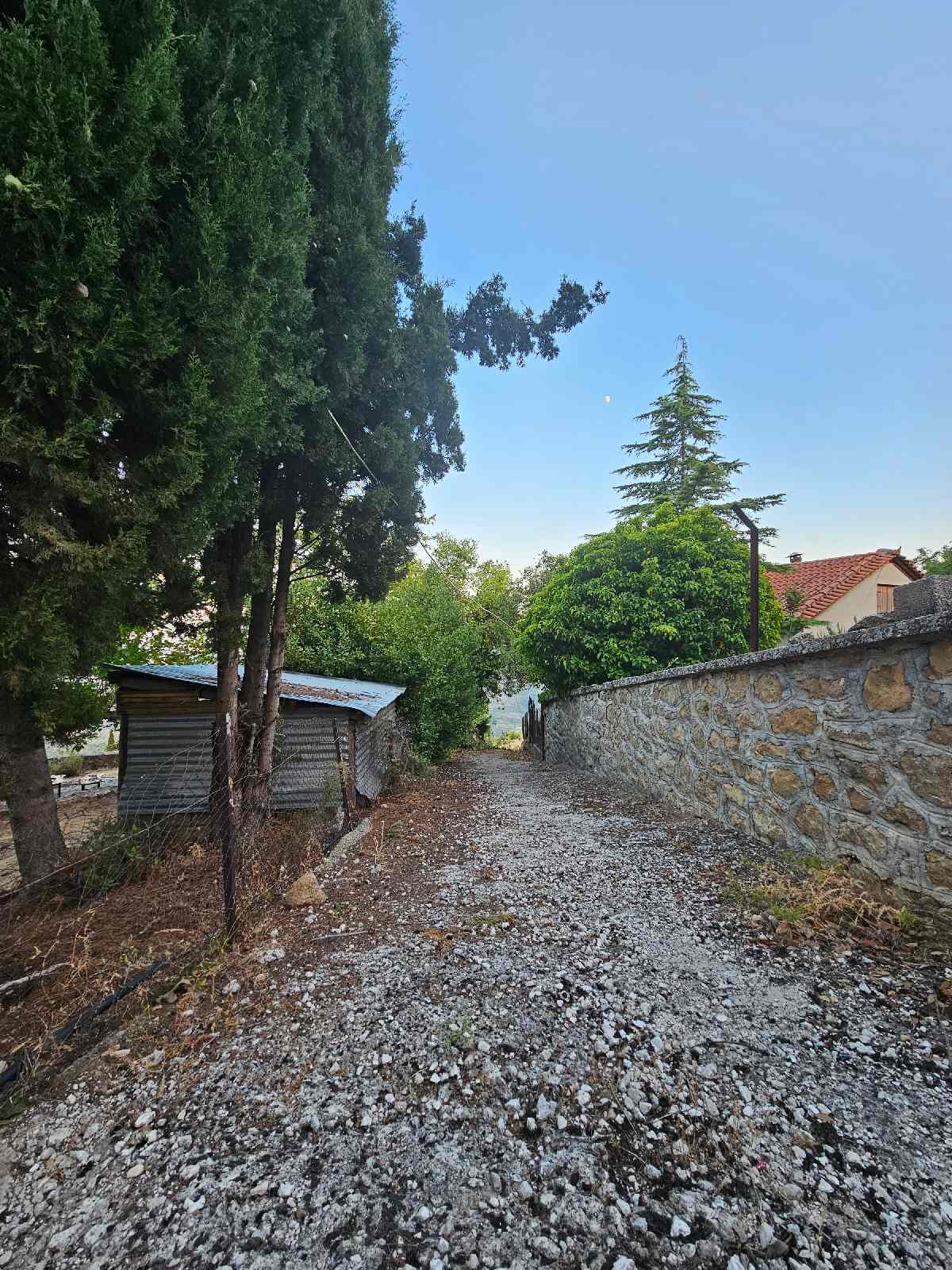 Τρίκαλα Κορινθίας