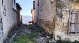 Δενδρό