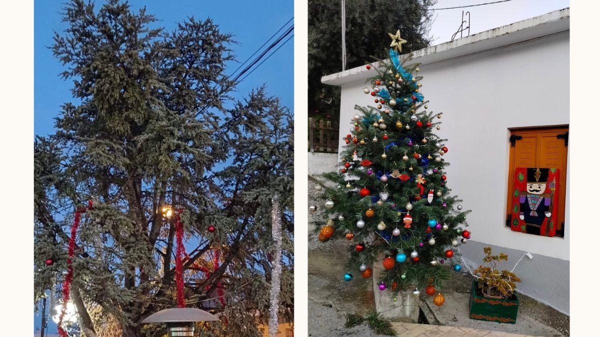 Χριστουγεννιάτικες φωταγωγήσεις σε Μελίσσι & Ροζενά – Στολισμός στα Μεντουργιάνικα!