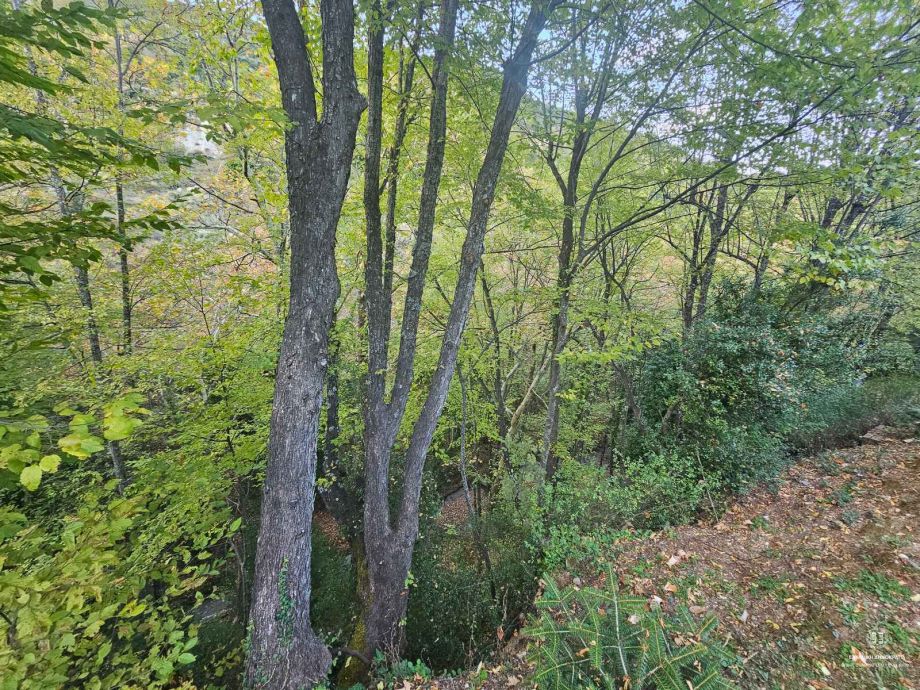Kondis Stream - Gelini - Corinthia 