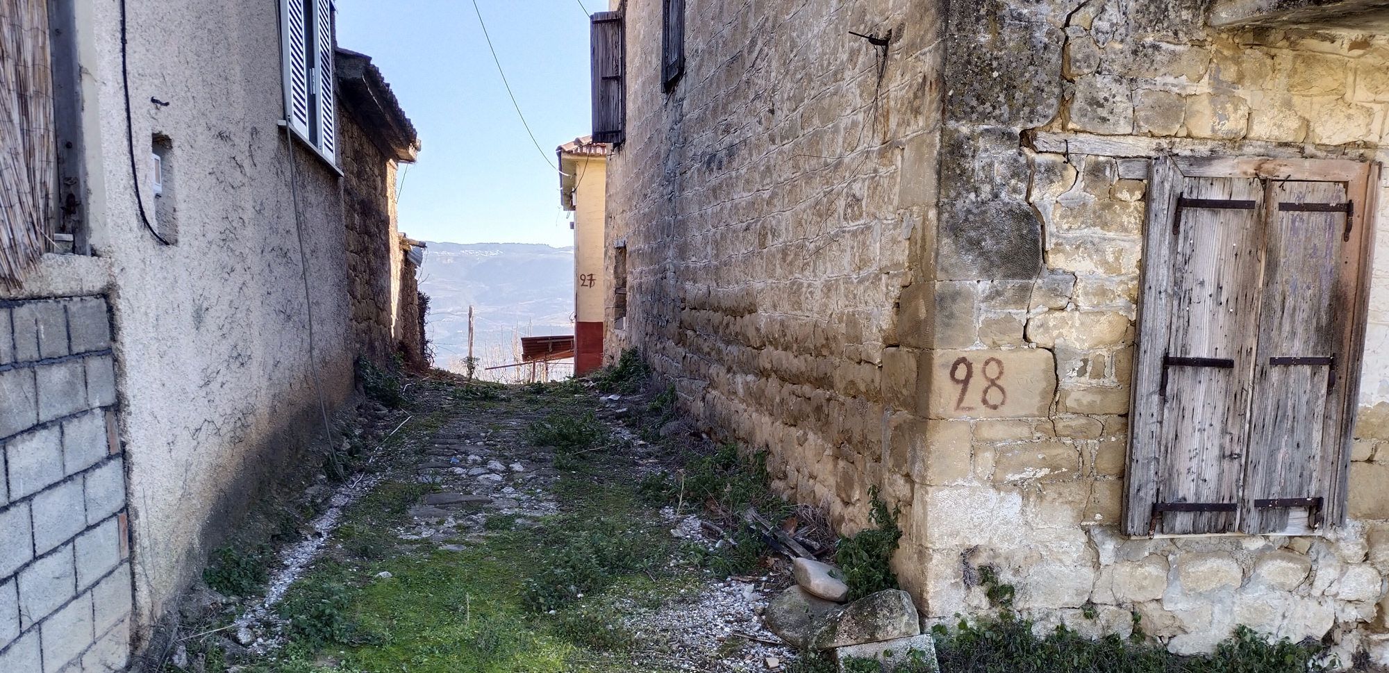 Δενδρό