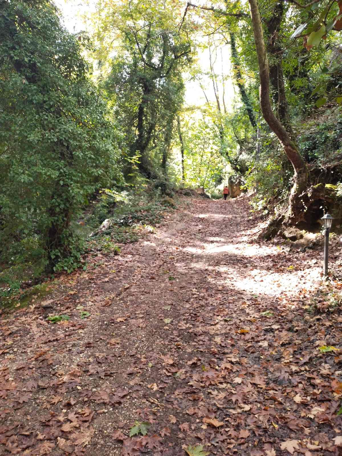 μονοπάτι - Ζάχολη - Ευρωστίνη - hiking