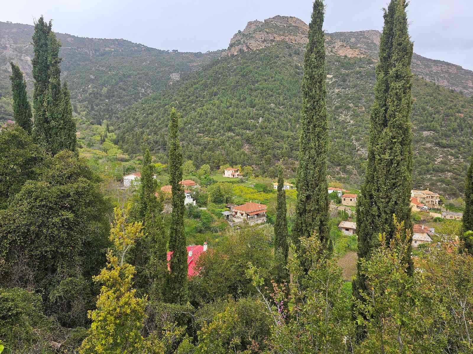 Τρίκαλα Κορινθίας 