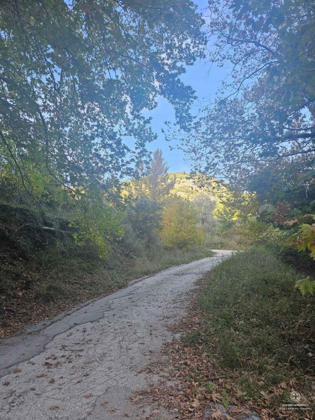 Gelini - village - peloponnese - hiking