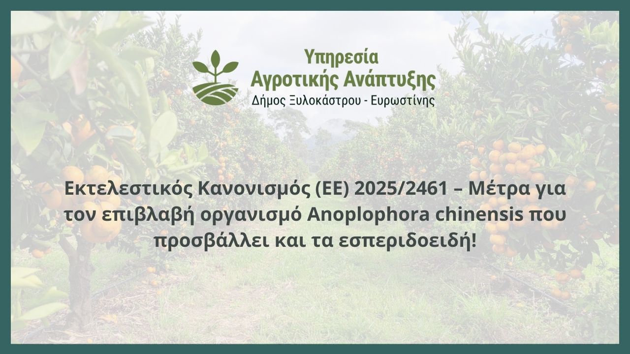 Εκτελεστικός Κανονισμός (ΕΕ) 2025/2461 – Μέτρα για τον επιβλαβή οργανισμό Anoplophora chinensis που προσβάλλει και τα εσπεριδοειδή!
