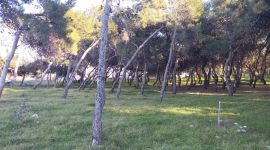 Der Strand von Loutro  - Dasillio