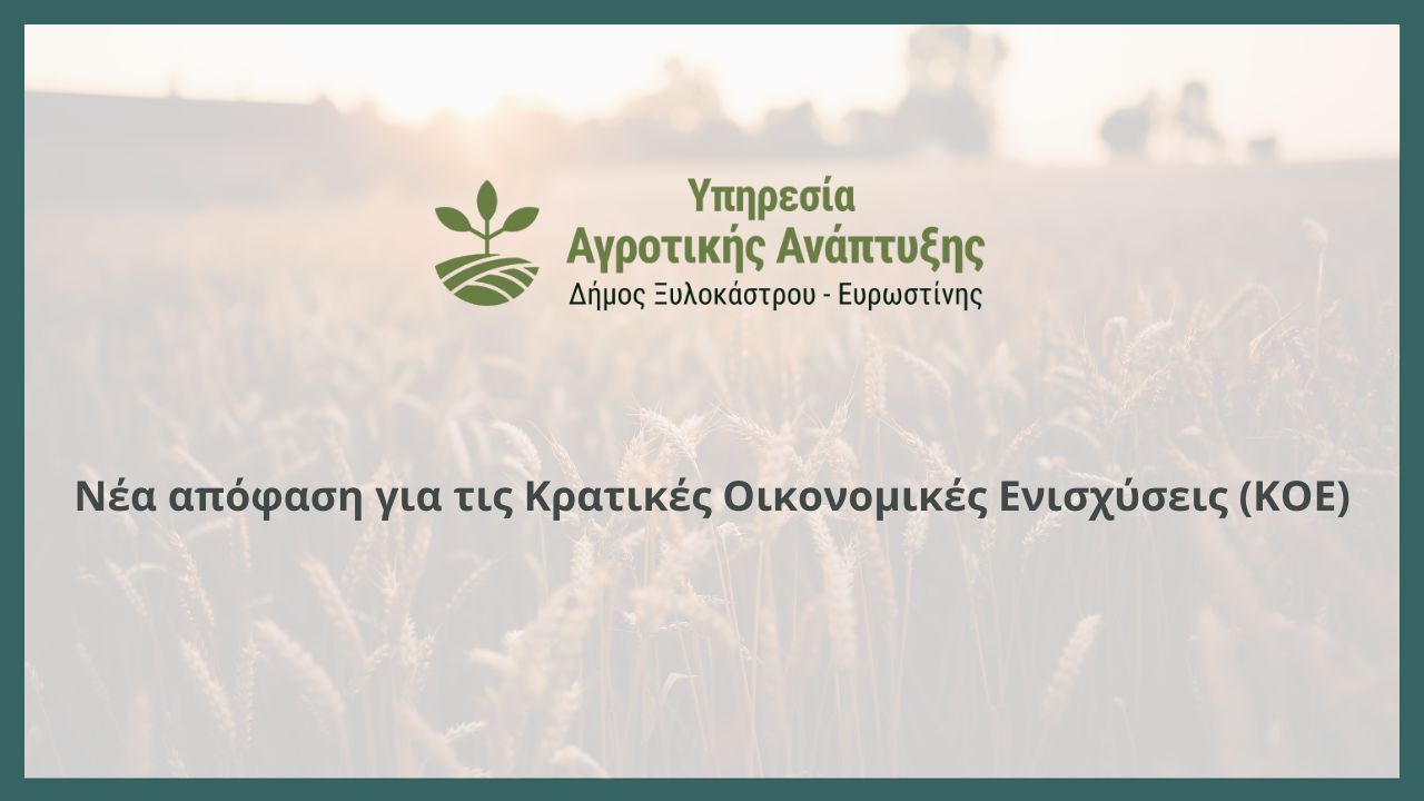 Νέα απόφαση για τις Κρατικές Οικονομικές Ενισχύσεις (ΚΟΕ)