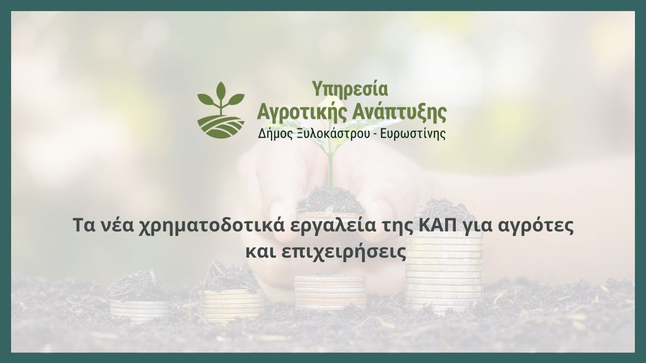 Τα νέα χρηματοδοτικά εργαλεία της ΚΑΠ για αγρότες και επιχειρήσεις