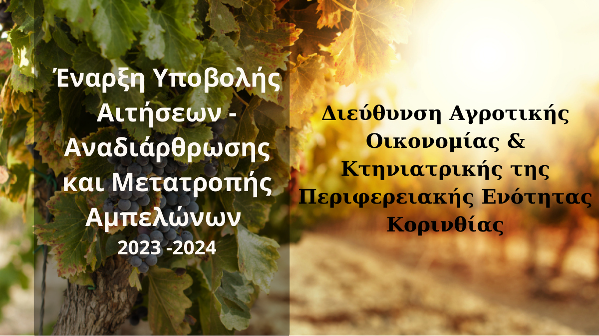 Έναρξη Υποβολής Αιτήσεων - Αναδιάρθρωσης και Μετατροπής Αμπελώνων του Αμπελοοινικού τομέα περιόδου 2023 -2024