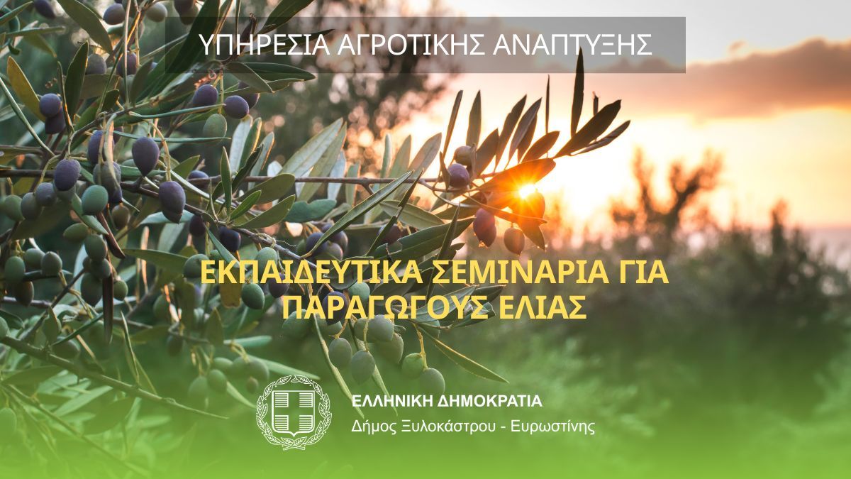 Εκπαιδευτικά Σεμινάρια για Παραγωγούς Ελιάς
