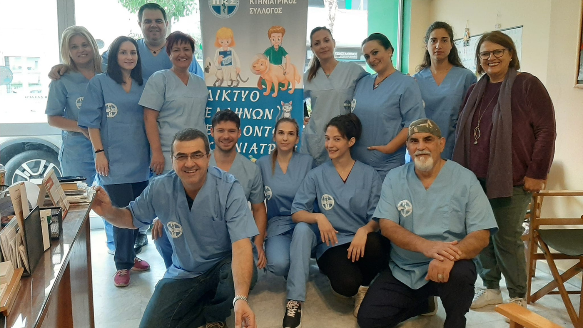 Στειρώσεις αδέσποτων ζώων στο Δήμο Ξυλοκάστρου Ευρωστίνης - Επιτυχημένη συνεργασία με τον Πανελλήνιο Κτηνιατρικό Σύλλογο