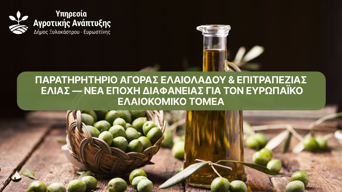 Παρατηρητήριο Αγοράς Ελαιολάδου & Επιτραπέζιας Ελιάς — Νέα εποχή διαφάνειας για τον ευρωπαϊκό ελαιοκομικό τομέα