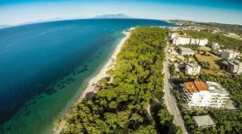 Der Strand am Pinienwald