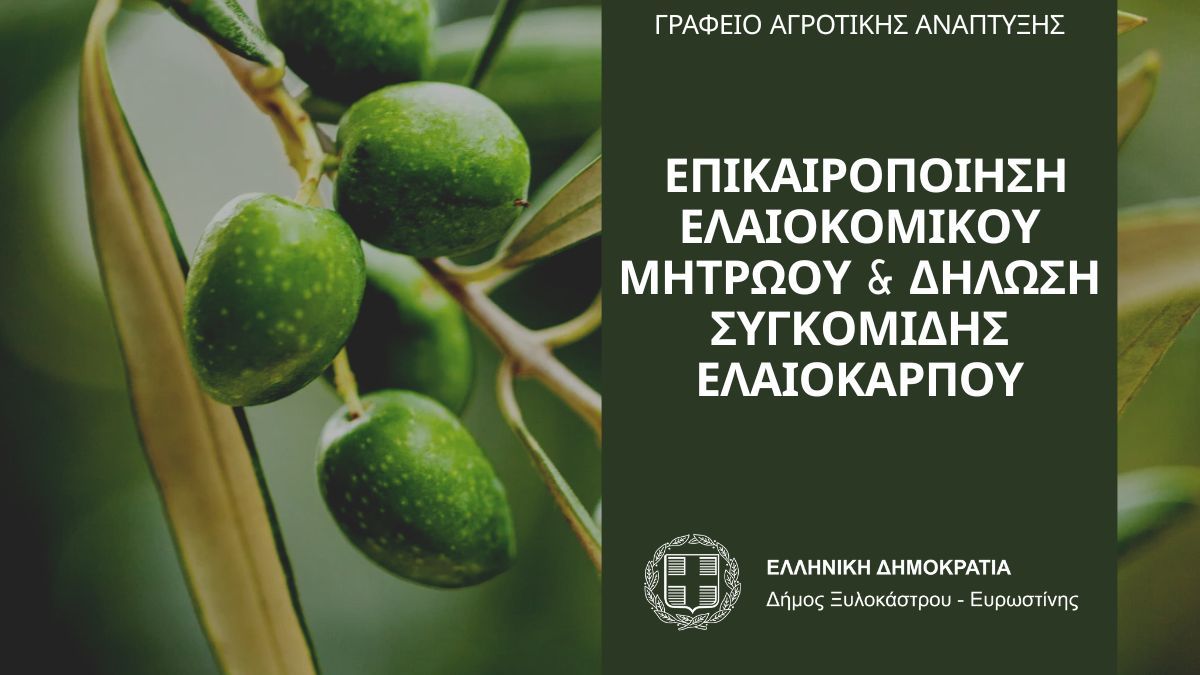 Ενημέρωση για την Επικαιροποίηση Ελαιοκομικού Μητρώου και Δήλωση Συγκομιδής Ελαιοκάρπου 2025–2026