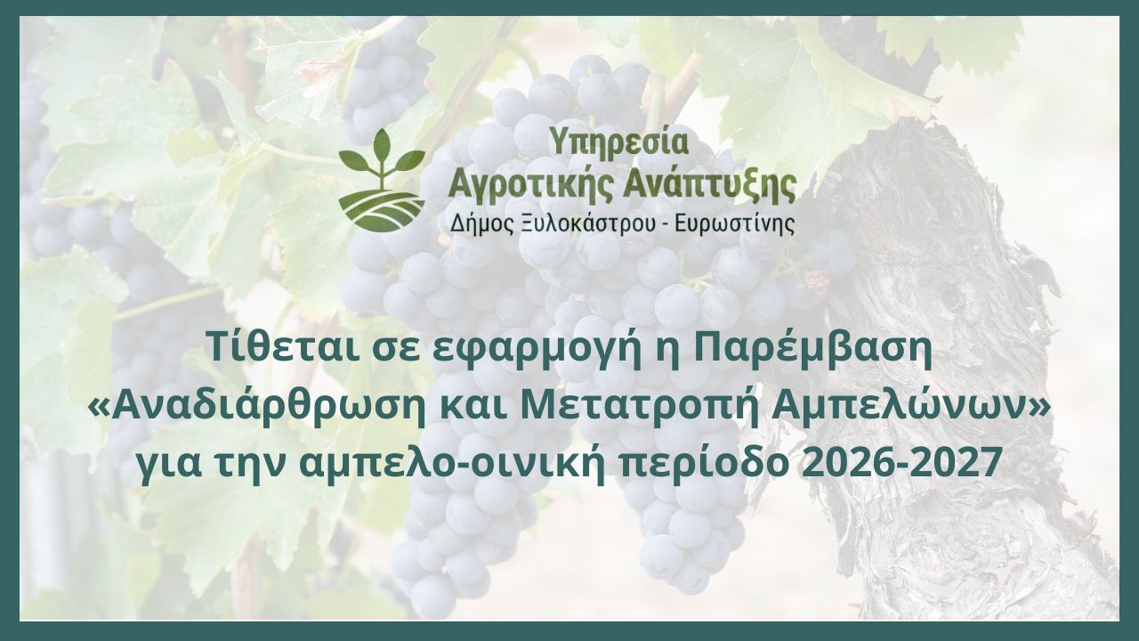 Τίθεται σε εφαρμογή η Παρέμβαση «Αναδιάρθρωση και Μετατροπή Αμπελώνων» για την αμπελο-οινική περίοδο 2026-2027