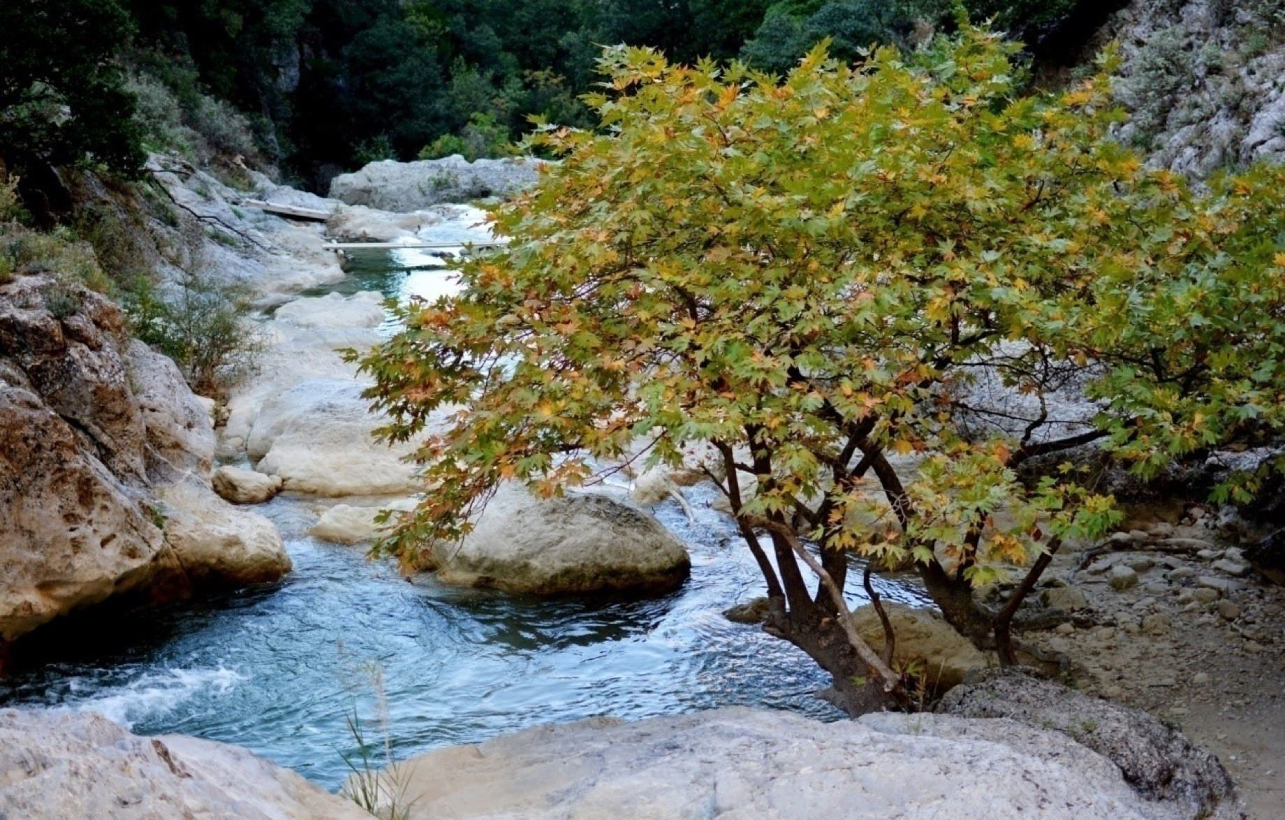 Σπήλαιο Πιτσά